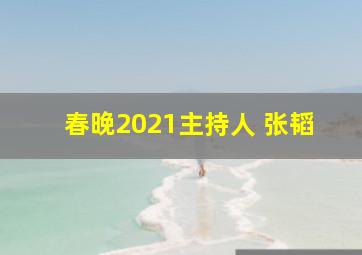 春晚2021主持人 张韬